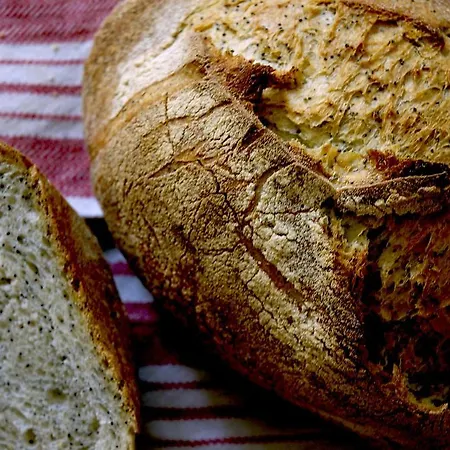 Il Ghiottone Umbro 3* تودي