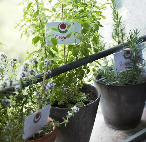 Alojamento de Acomodação e Pequeno-almoço Il Ghiottone Umbro 3*